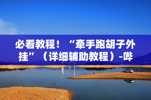必看教程！“牵手跑胡子外挂”（详细辅助教程）-哔哩哔哩