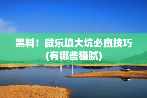 黑料！微乐填大坑必赢技巧(有哪些猫腻)