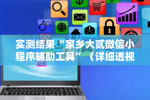 实测结果“家乡大贰微信小程序辅助工具”（详细透视教程）-哔哩哔哩