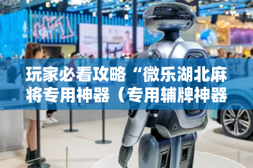 玩家必看攻略“微乐湖北麻将专用神器（专用辅牌神器免安装）