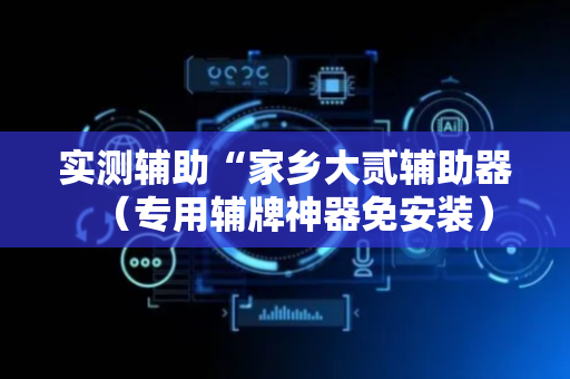 实测辅助“家乡大贰辅助器（专用辅牌神器免安装）