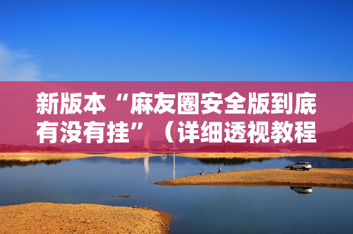 新版本“麻友圈安全版到底有没有挂”（详细透视教程）-哔哩哔哩