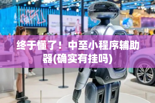 终于懂了！中至小程序辅助器(确实有挂吗)
