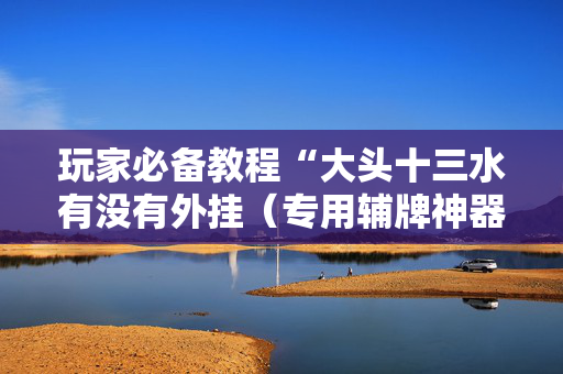 玩家必备教程“大头十三水有没有外挂（专用辅牌神器免安装）