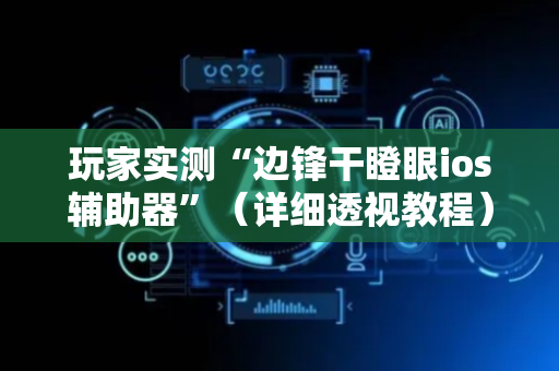 玩家实测“边锋干瞪眼ios辅助器”（详细透视教程）-哔哩哔哩