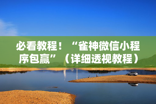 必看教程！“雀神微信小程序包赢”（详细透视教程）-哔哩哔哩
