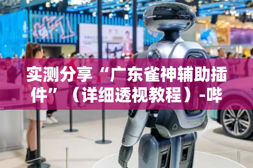 实测分享“广东雀神辅助插件”（详细透视教程）-哔哩哔哩