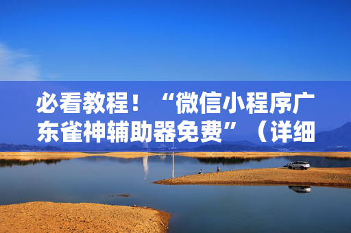必看教程！“微信小程序广东雀神辅助器免费”（详细辅助教程）-哔哩哔哩