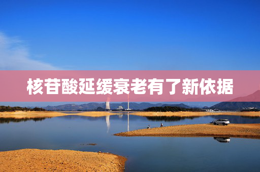 核苷酸延缓衰老有了新依据