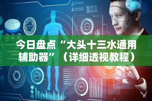 今日盘点“大头十三水通用辅助器”（详细透视教程）-哔哩哔哩