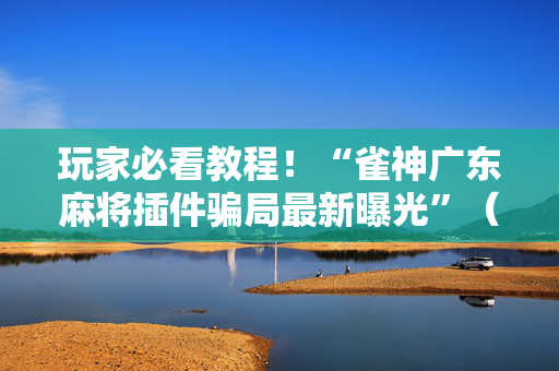 玩家必看教程！“雀神广东麻将插件骗局最新曝光”（详细辅助教程）-哔哩哔哩
