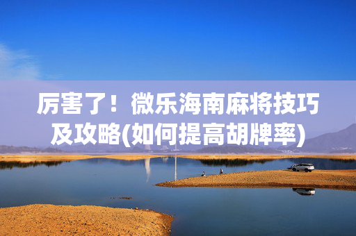 厉害了！微乐海南麻将技巧及攻略(如何提高胡牌率)