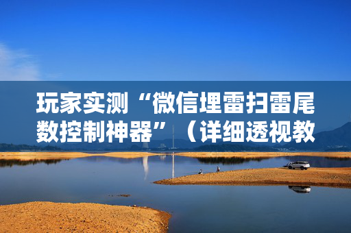 玩家实测“微信埋雷扫雷尾数控制神器”（详细透视教程）-哔哩哔哩