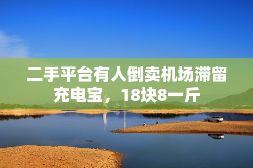 二手平台有人倒卖机场滞留充电宝，18块8一斤
