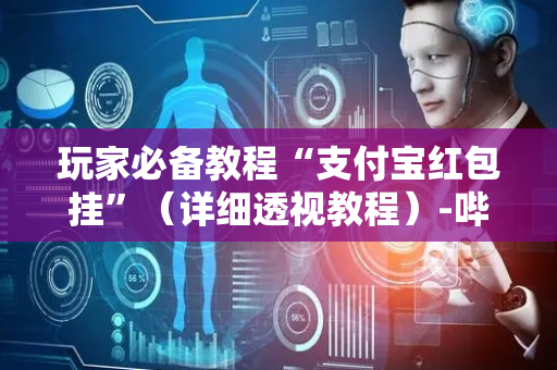玩家必备教程“支付宝红包挂”（详细透视教程）-哔哩哔哩