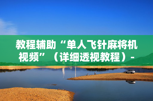 教程辅助“单人飞针麻将机视频”（详细透视教程）-哔哩哔哩