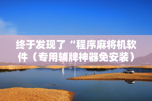 终于发现了“程序麻将机软件（专用辅牌神器免安装）