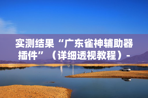 实测结果“广东雀神辅助器插件”（详细透视教程）-哔哩哔哩