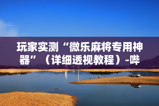玩家实测“微乐麻将专用神器”（详细透视教程）-哔哩哔哩