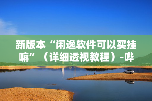 新版本“闲逸软件可以买挂嘛”（详细透视教程）-哔哩哔哩