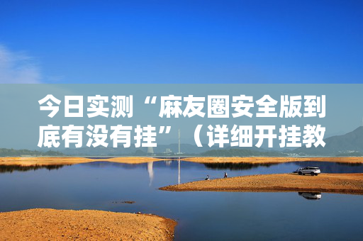 今日实测“麻友圈安全版到底有没有挂”（详细开挂教程）-哔哩哔哩