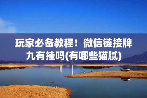 玩家必备教程！微信链接牌九有挂吗(有哪些猫腻)