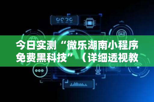 今日实测“微乐湖南小程序免费黑科技”（详细透视教程）-哔哩哔哩