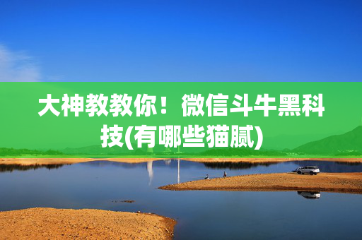 大神教教你！微信斗牛黑科技(有哪些猫腻)