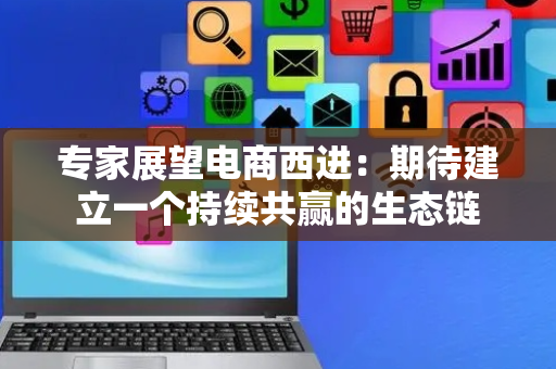 专家展望电商西进：期待建立一个持续共赢的生态链