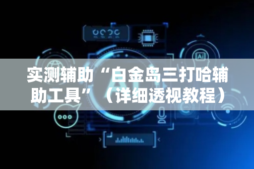 实测辅助“白金岛三打哈辅助工具”（详细透视教程）-哔哩哔哩