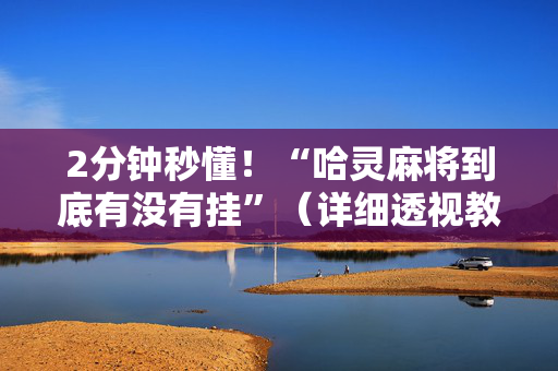 2分钟秒懂！“哈灵麻将到底有没有挂”（详细透视教程）-哔哩哔哩