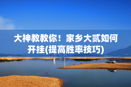 大神教教你！家乡大贰如何开挂(提高胜率技巧)