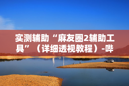实测辅助“麻友圈2辅助工具”（详细透视教程）-哔哩哔哩