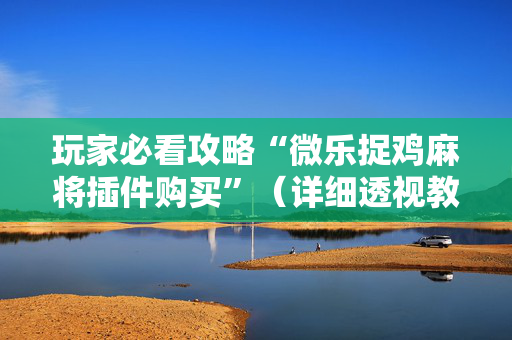 玩家必看攻略“微乐捉鸡麻将插件购买”（详细透视教程）-哔哩哔哩