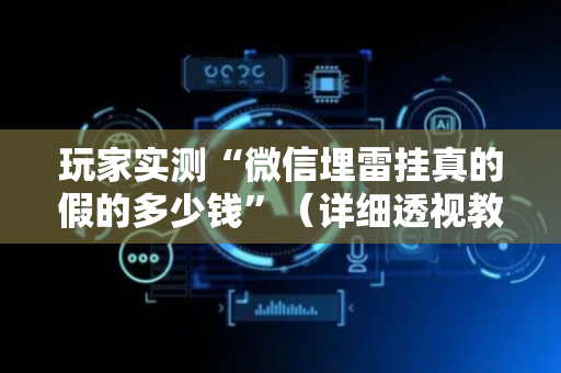 玩家实测“微信埋雷挂真的假的多少钱”（详细透视教程）-哔哩哔哩