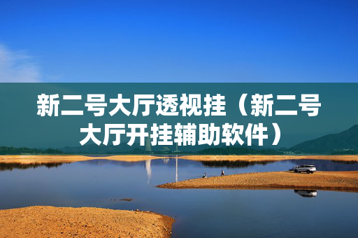 新二号大厅透视挂（新二号大厅开挂辅助软件）