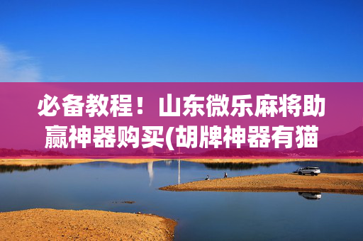 必备教程！山东微乐麻将助赢神器购买(胡牌神器有猫腻吗)