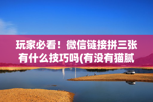 玩家必看！微信链接拼三张有什么技巧吗(有没有猫腻)