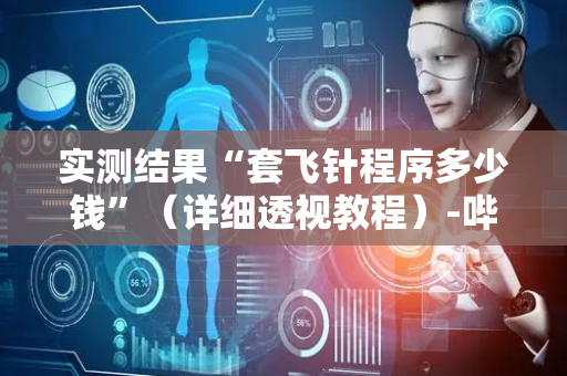 实测结果“套飞针程序多少钱”（详细透视教程）-哔哩哔哩