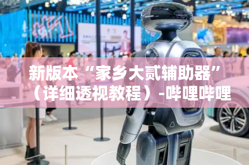 新版本“家乡大贰辅助器”（详细透视教程）-哔哩哔哩