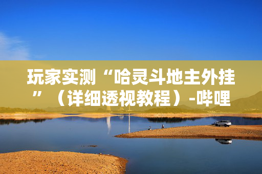 玩家实测“哈灵斗地主外挂”（详细透视教程）-哔哩哔哩