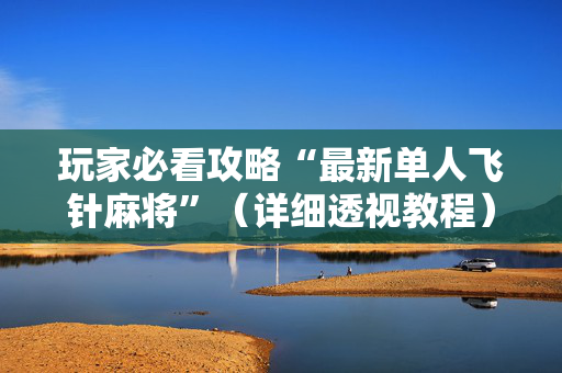 玩家必看攻略“最新单人飞针麻将”（详细透视教程）-哔哩哔哩