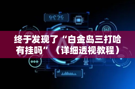 终于发现了“白金岛三打哈有挂吗”（详细透视教程）-哔哩哔哩