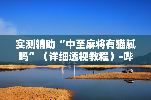 实测辅助“中至麻将有猫腻吗”（详细透视教程）-哔哩哔哩