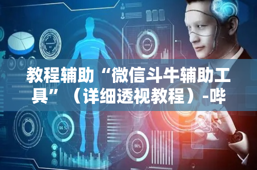 教程辅助“微信斗牛辅助工具”（详细透视教程）-哔哩哔哩