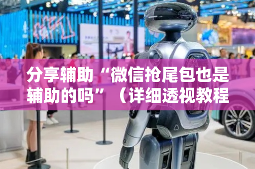 分享辅助“微信抢尾包也是辅助的吗”（详细透视教程）-哔哩哔哩
