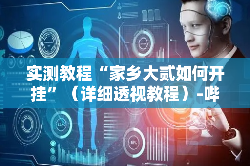 实测教程“家乡大贰如何开挂”（详细透视教程）-哔哩哔哩