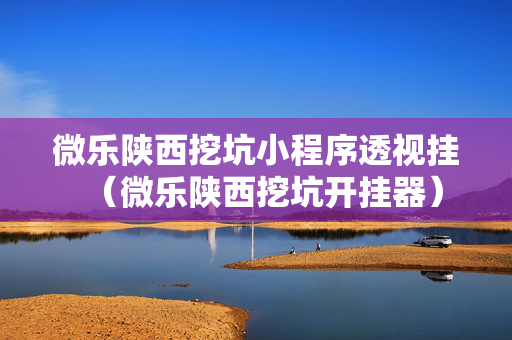 微乐陕西挖坑小程序透视挂（微乐陕西挖坑开挂器）