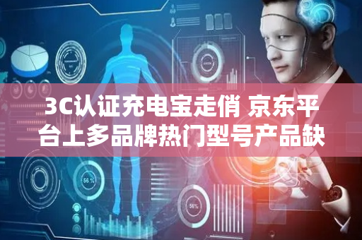3C认证充电宝走俏 京东平台上多品牌热门型号产品缺货