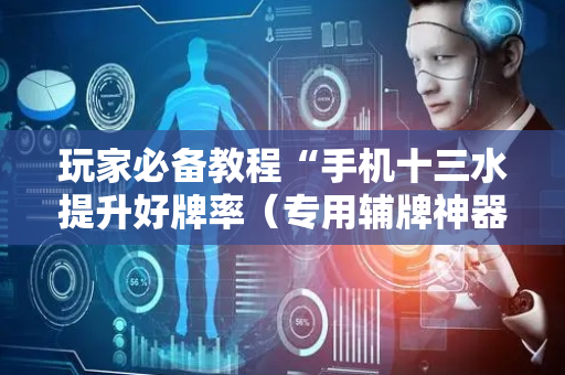 玩家必备教程“手机十三水提升好牌率（专用辅牌神器免安装）